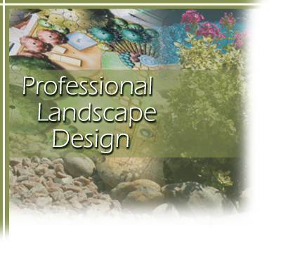 Professional Landscape Design